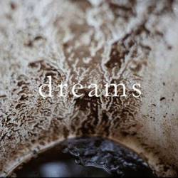 The Picturesque Episodes : Dreams II